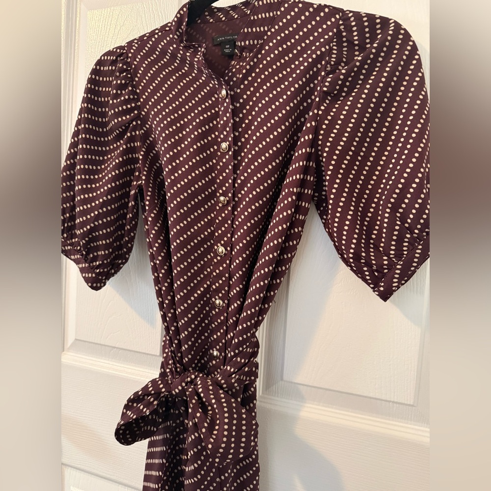 Ann Taylor Button Up Polka Dot Dress - Picture 5 of 13